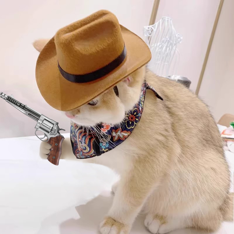 Cowboy Hat Straw - ﻿ Cat Cowboy Hat Pet Head