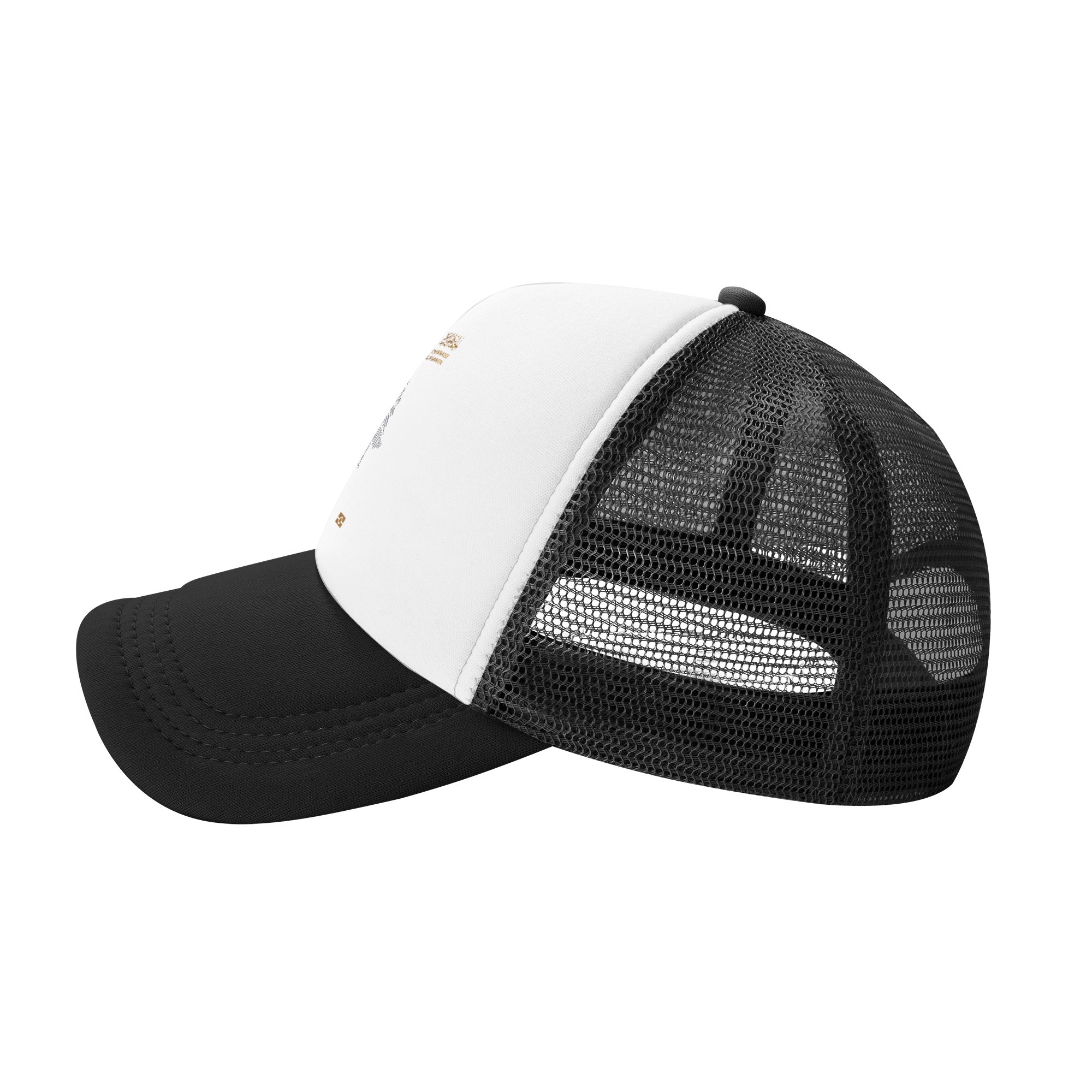 Lebanon Passport  Sun Hats  Tr - Trucker Cap Mesh review and price